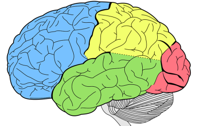 Importance of Mental Health Importance of Mental Health