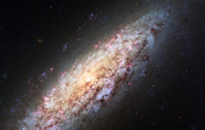 Yes, There Is Life in Space—Deal With It Yes, There Is Life in Space—Deal With It